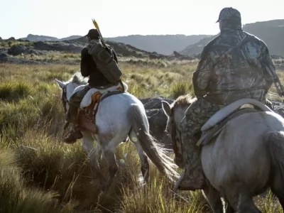 Chasing Red Stag in Rincon