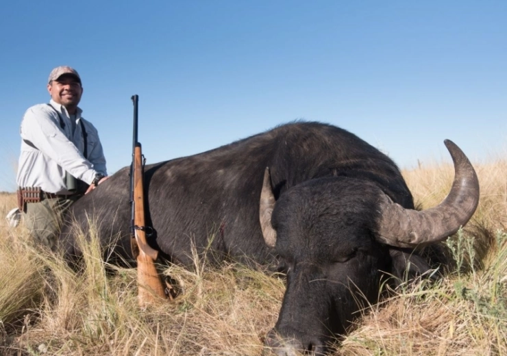 The Argentine Water Buffalo: A Premier Big Game Challenge in La Pampa